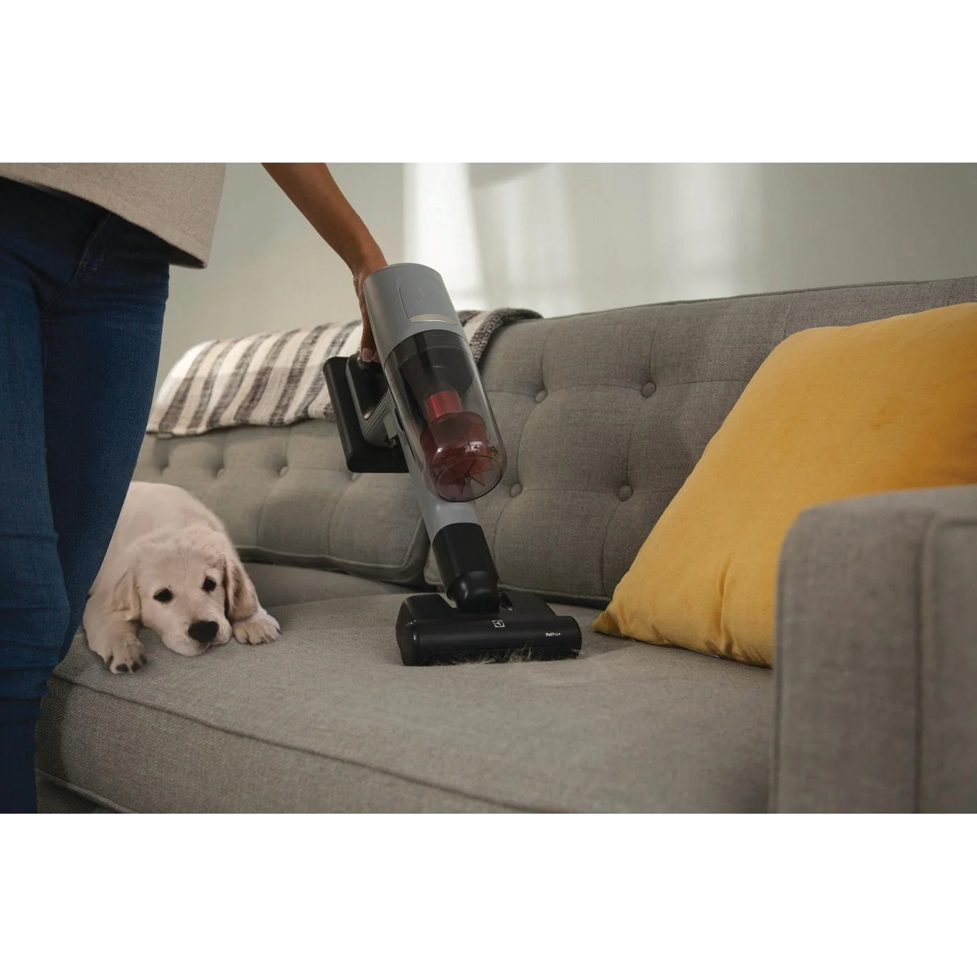 Electrolux Ultimate800™ Pet aspirateur balai sans fil EHVS85P3AG - Image 7