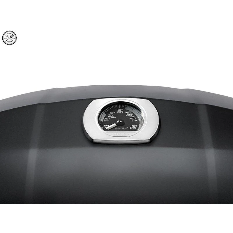 Napoleon TravelQ™ barbecue au gaz portable PRO285-BK - Image 5