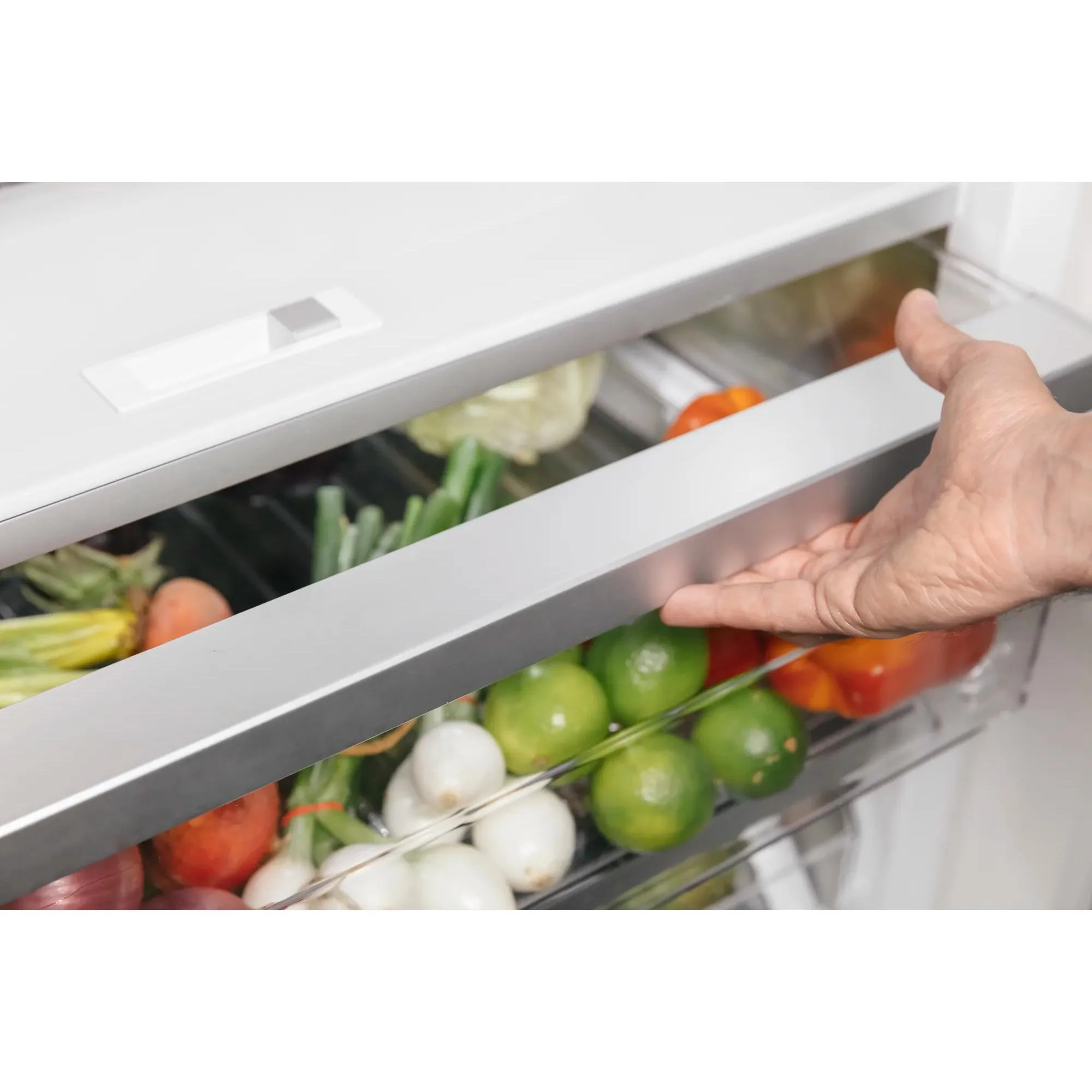 Thermador Tout réfrigérateur encastré de 24 po T24IR905SP - Image 5