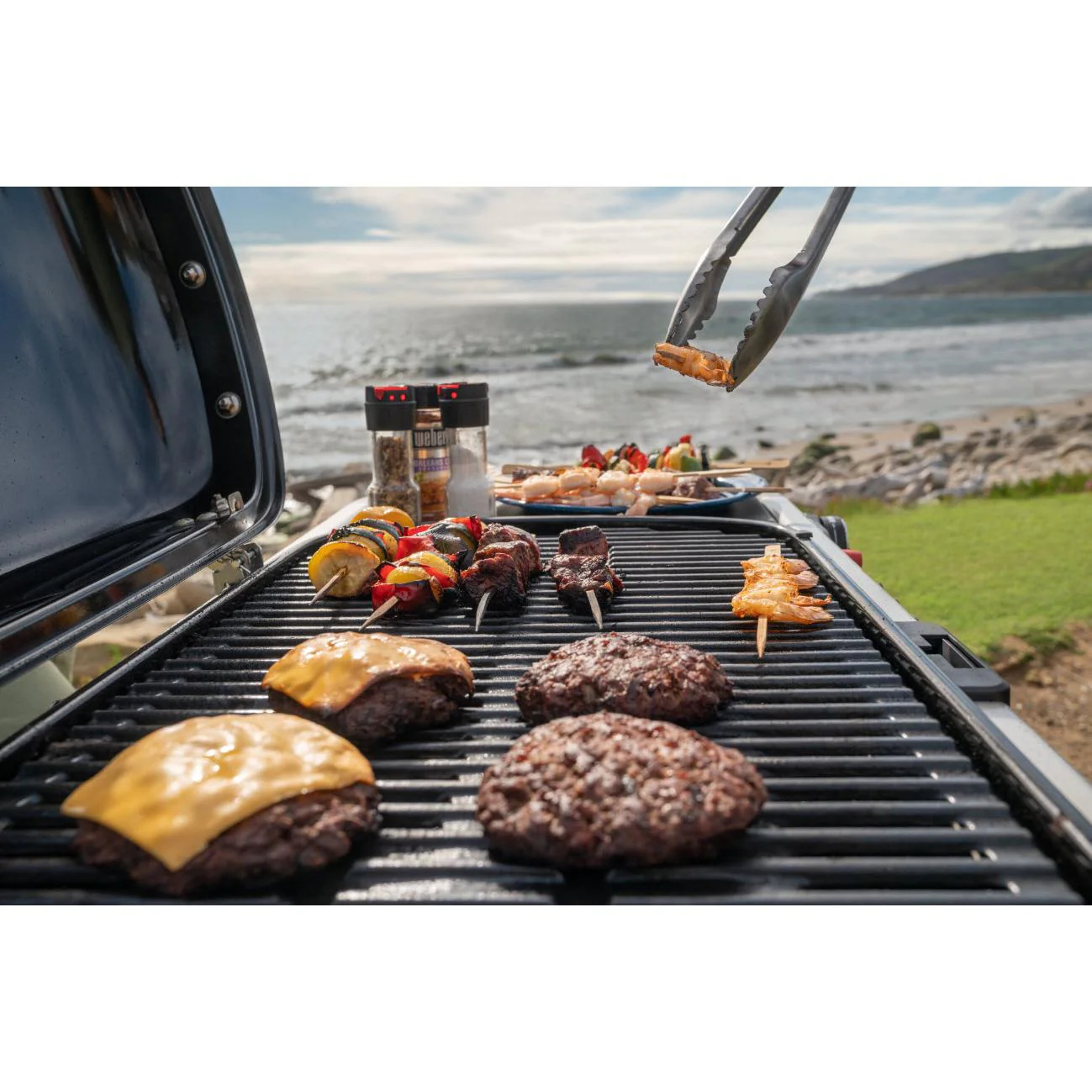 Weber Barbecue à gaz portable Traveler 9010001 - Image 19