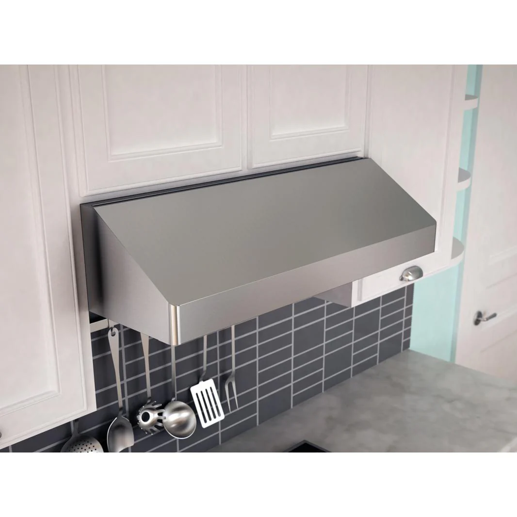 Zephyr Hotte de cuisinière sous cabinet Gust de 30 po AK7100BS-BF